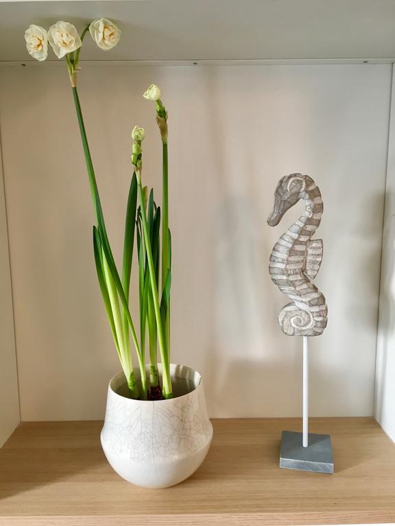 Ocean Apartment 생말로 외부 사진
